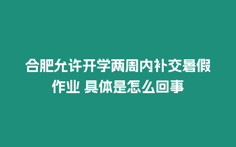 合肥允許開學兩周內補交暑假作業 具體是怎么回事