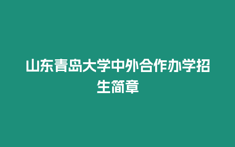 山東青島大學中外合作辦學招生簡章