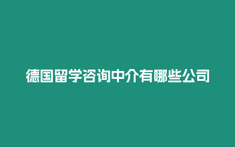 德國(guó)留學(xué)咨詢中介有哪些公司