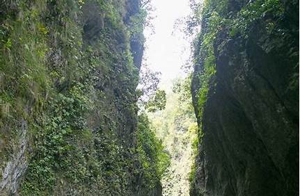 峨眉山門票2018一月15_過年峨眉山門票多少？