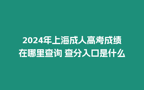 2024年上海成人高考成績在哪里查詢 查分入口是什么