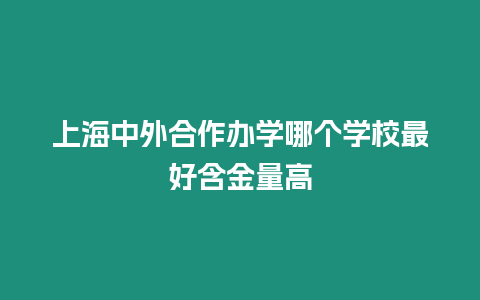 上海中外合作辦學(xué)哪個學(xué)校最好含金量高