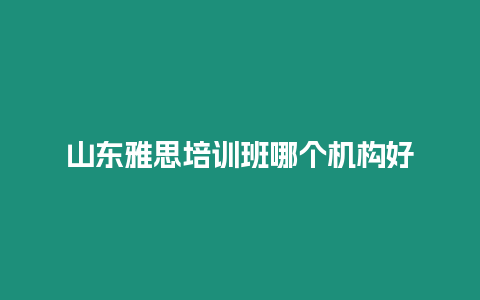 山東雅思培訓班哪個機構好