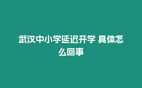 武漢中小學延遲開學 具體怎么回事