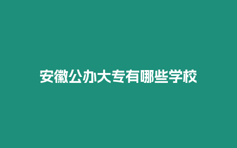 安徽公辦大專有哪些學(xué)校