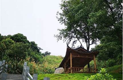 崗山森林公園門票_崗山森林公園門票多少錢？