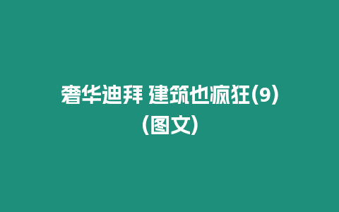 奢華迪拜 建筑也瘋狂(9)(圖文)