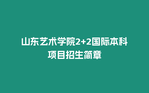 山東藝術學院2+2國際本科項目招生簡章