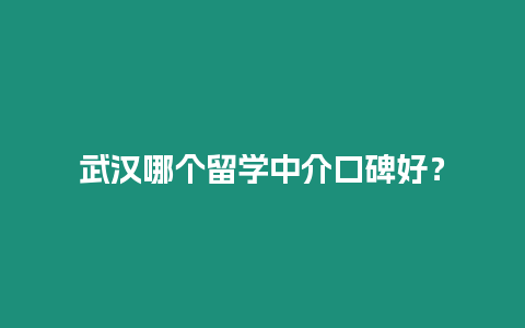 武漢哪個留學中介口碑好？