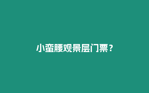 小蠻腰觀景層門(mén)票？