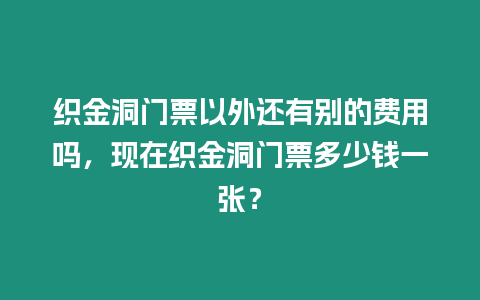 織金洞門票以外還有別的費用嗎，現(xiàn)在織金洞門票多少錢一張？