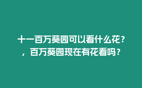 十一百萬葵園可以看什么花？，百萬葵園現在有花看嗎？