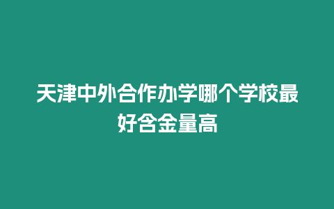 天津中外合作辦學哪個學校最好含金量高