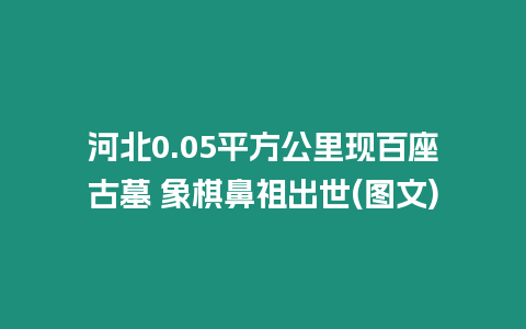 河北0.05平方公里現百座古墓 象棋鼻祖出世(圖文)