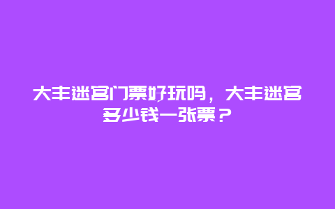 大豐迷宮門票好玩嗎，大豐迷宮多少錢一張票？