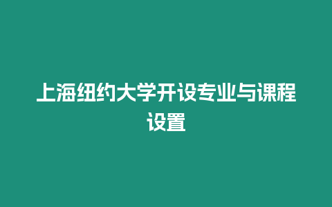 上海紐約大學開設專業與課程設置