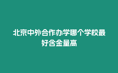 北京中外合作辦學哪個學校最好含金量高