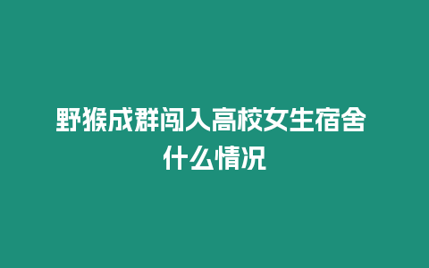 野猴成群闖入高校女生宿舍 什么情況