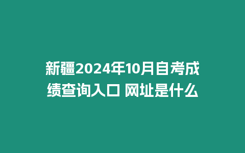 新疆2024年10月自考成績(jī)查詢?nèi)肟?網(wǎng)址是什么