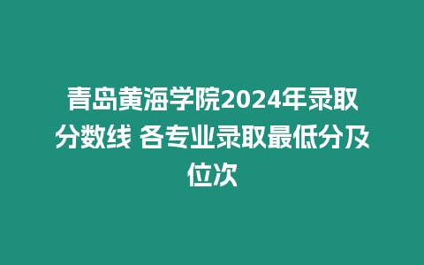 青島黃海學院2024年錄取分數線 各專業錄取最低分及位次