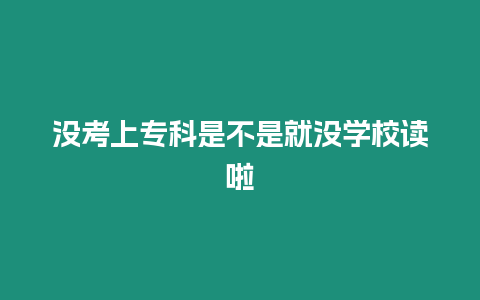 沒考上專科是不是就沒學校讀啦