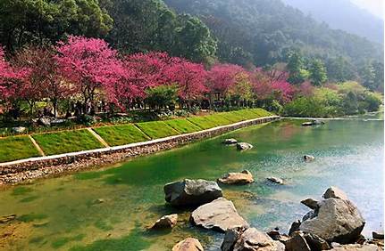 去福州森林公園門票多少錢，去福州森林公園門票多少錢啊？