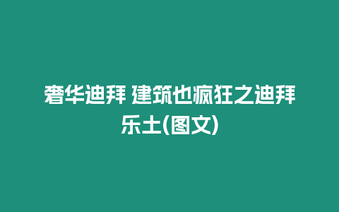 奢華迪拜 建筑也瘋狂之迪拜樂土(圖文)