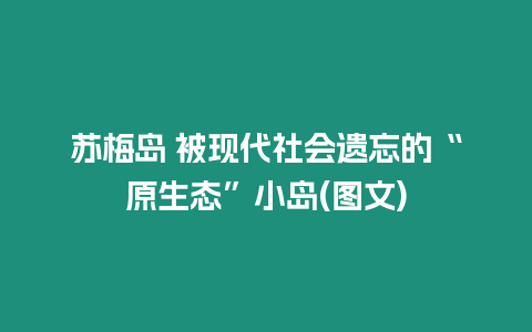 蘇梅島 被現代社會遺忘的“原生態”小島(圖文)