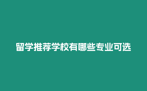 留學推薦學校有哪些專業(yè)可選