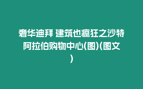 奢華迪拜 建筑也瘋狂之沙特阿拉伯購物中心(圖)(圖文)