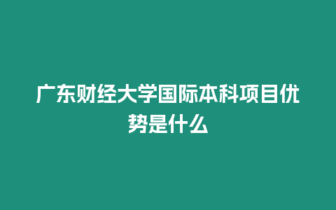 廣東財經大學國際本科項目優勢是什么