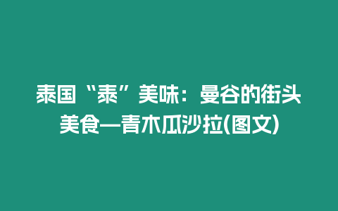 泰國“泰”美味：曼谷的街頭美食—青木瓜沙拉(圖文)