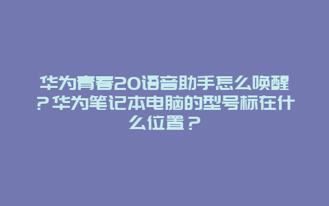 華為青春20語音助手怎么喚醒？華為筆記本電腦的型號標在什么位置？