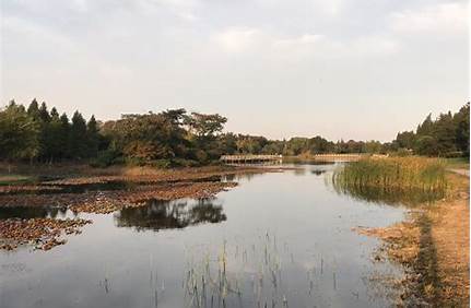 蘇州太湖國家濕地公園門票團購，蘇州太湖國家濕地公園門票團購多少錢？