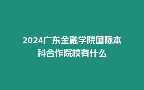 2024廣東金融學院國際本科合作院校有什么