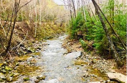 威虎山風景區門票價格，威虎山風景區門票價格多少？