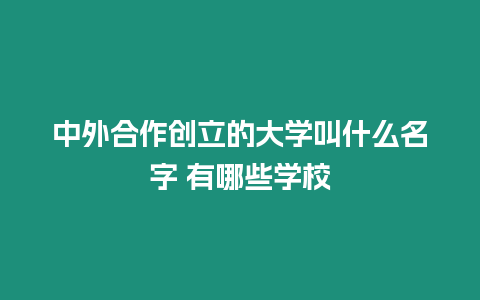 中外合作創立的大學叫什么名字 有哪些學校