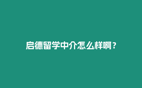 啟德留學中介怎么樣啊？