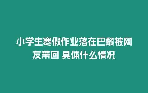 小學生寒假作業(yè)落在巴黎被網(wǎng)友帶回 具體什么情況