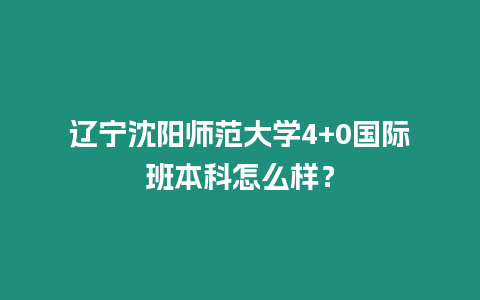 遼寧沈陽師范大學(xué)4+0國際班本科怎么樣？