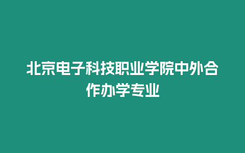 北京電子科技職業(yè)學院中外合作辦學專業(yè)