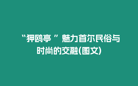 “狎鷗亭 ”魅力首爾民俗與時尚的交融(圖文)