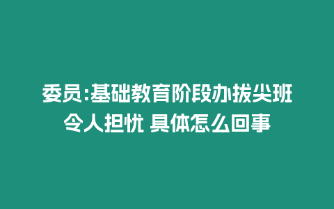 委員:基礎教育階段辦拔尖班令人擔憂 具體怎么回事