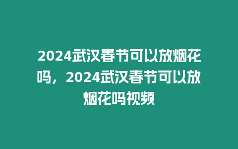 2024武漢春節可以放煙花嗎，2024武漢春節可以放煙花嗎視頻