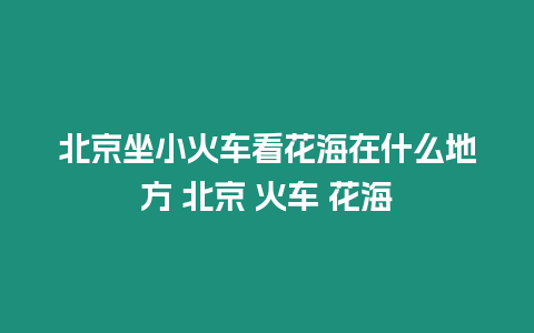 北京坐小火車看花海在什么地方 北京 火車 花海