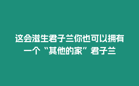 這會滋生君子蘭你也可以擁有一個“其他的家”君子蘭