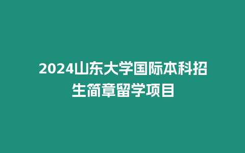 2024山東大學國際本科招生簡章留學項目