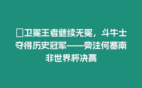 ?衛(wèi)冕王者繼續(xù)無冕，斗牛士奪得歷史冠軍——旁注何塞南非世界杯決賽