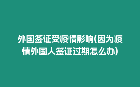 外國簽證受疫情影響(因為疫情外國人簽證過期怎么辦)