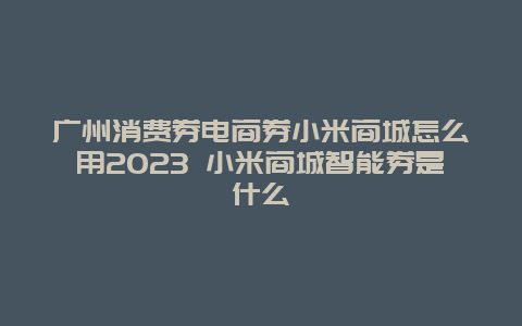 廣州消費券電商券小米商城怎么用2024 小米商城智能券是什么